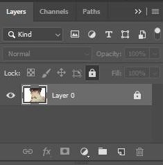 Panel Layers menampilkan gambar pada layer Background.