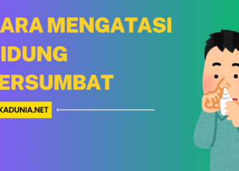 Cara Mengatasi Hidung Tersumbat