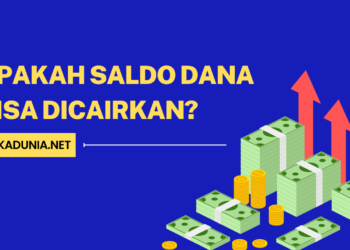 Apakah Saldo DANA Bisa Dicairkan