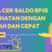 Cara Cek Saldo BPJS Kesehatan dengan Mudah dan Cepat