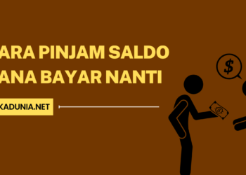 5 Langkah Cara Pinjam Saldo DANA Bayar Nanti