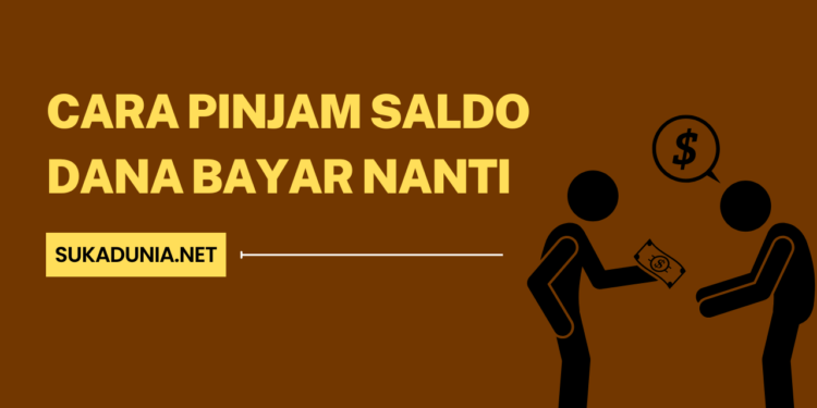 5 Langkah Cara Pinjam Saldo DANA Bayar Nanti