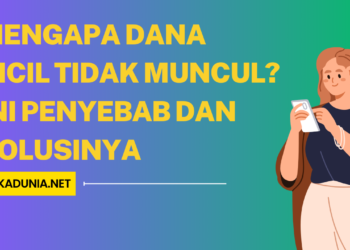 Mengapa Dana Cicil Tidak Muncul Ini Penyebab dan Solusinya