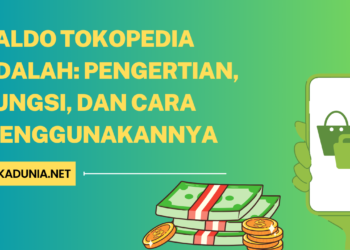 Saldo Tokopedia Adalah Pengertian, Fungsi, dan Cara Menggunakannya