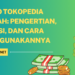 Saldo Tokopedia Adalah Pengertian, Fungsi, dan Cara Menggunakannya