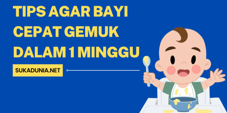 Tips Agar Bayi Cepat Gemuk dalam 1 Minggu