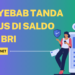 Penyebab Tanda Minus Di Saldo Atm BRI